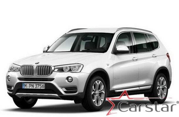 Автомобильные коврики EVA 3D для BMW X3 II F25 (2010-2017)